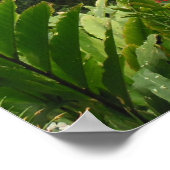 Tropisch regenwoud Hawaiian Poster (Hoek)