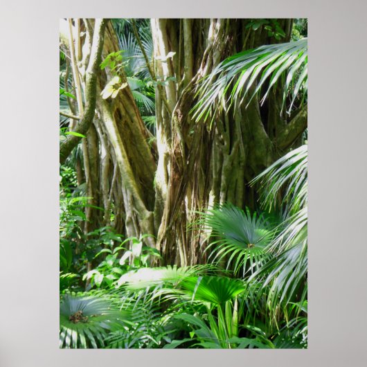 Tropisch regenwoud Hawaiian Poster (Voorkant)