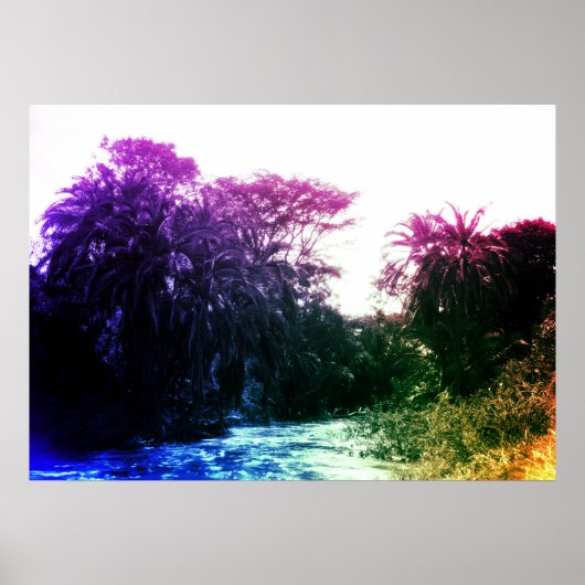 tropisch regenwoud met kleurrijke riviergalerij poster (Voorkant)