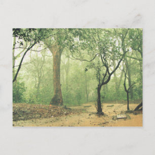 Tropisch regenwoud West-Ghats India Briefkaart