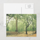 Tropisch regenwoud Western Ghats India Briefkaart (Voorkant / Achterkant)