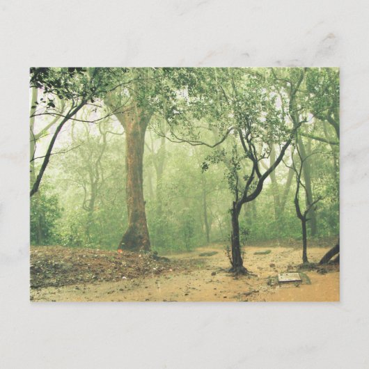 Tropisch regenwoud Western Ghats India Briefkaart (Voorkant)