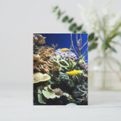 Tropisch rif 3 briefkaart (Staand voorkant)