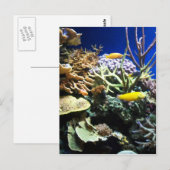 Tropisch rif 3 briefkaart (Voorkant / Achterkant)