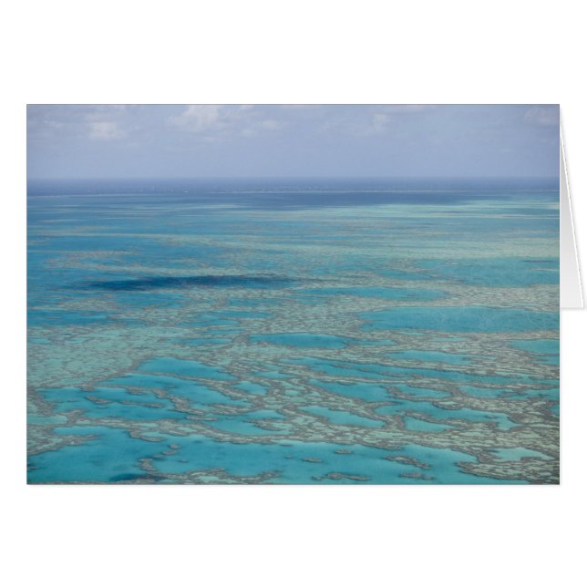 Tropisch rif, Great Barrier Reef, Queensland (Voorkant Horizontaal)