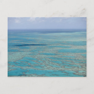 Tropisch rif, Groot Barrièrerif, Queensland, Briefkaart