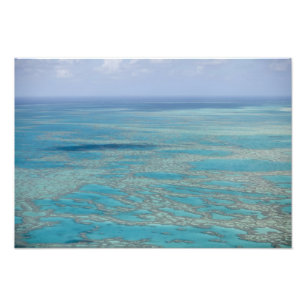 Tropisch rif, Groot Barrièrerif, Queensland, Foto Afdruk