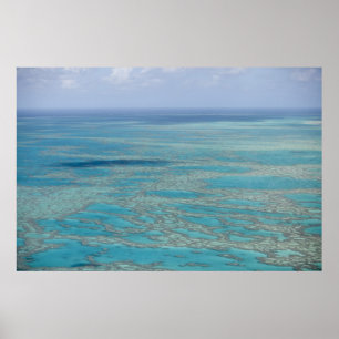 Tropisch rif, Groot Barrièrerif, Queensland, Poster