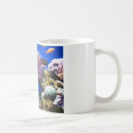 Tropisch rif koffiemok (Rechts)