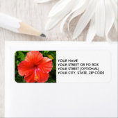 Tropisch Rode Hibiscus Bonita Springs Florida Etiket (Insitu)