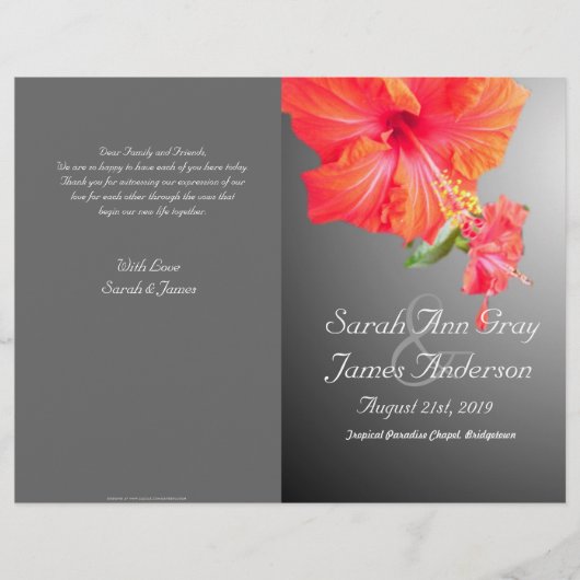 Tropisch Rode hibiscus-programma voor bloementeelt (Voorkant)