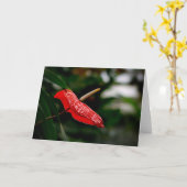 Tropisch rood anthurium elke gelegenheid blanco be kaart (Gele Bloem)