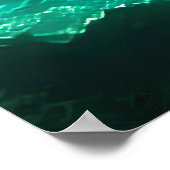 Tropisch roofdier: Grote witte haai Poster (Hoek)