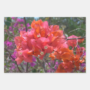 Tropisch Roze Bougainvillea Eiland Bloemen Inpakpapier Vel