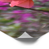 Tropisch Roze Bougainvillea Poster (Hoek)