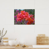 Tropisch Roze Bougainvillea Poster (Keuken)