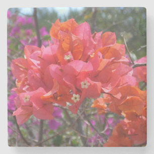 Tropisch-Roze Bougainvillea Stenen Onderzetter