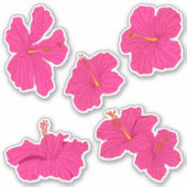 Tropisch Roze Caraïben Hibiscus Bloemen Pack Sticker (Voorkant)