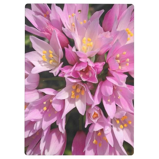 Tropisch roze en gele bloemen klembord (Achterkant)