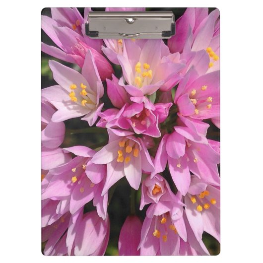 Tropisch roze en gele bloemen klembord (Voorkant)