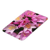 Tropisch roze en gele bloemen magneet (Linkerzijde)