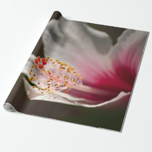 Tropisch roze en wit Hawaiian Hibiscus Flower Cadeaupapier
