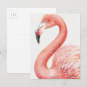 Tropisch | Roze Flamingo Briefkaart (Voorkant / Achterkant)