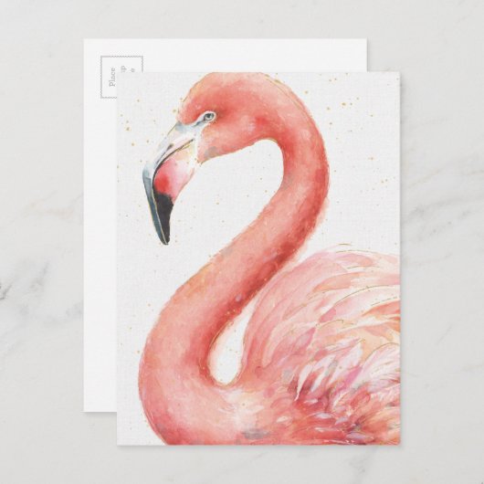 Tropisch | Roze Flamingo Briefkaart (Voorkant / Achterkant)