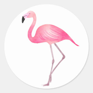 Tropisch Roze Flamingo Bruiloft Vrijgezellenfeest  Ronde Sticker