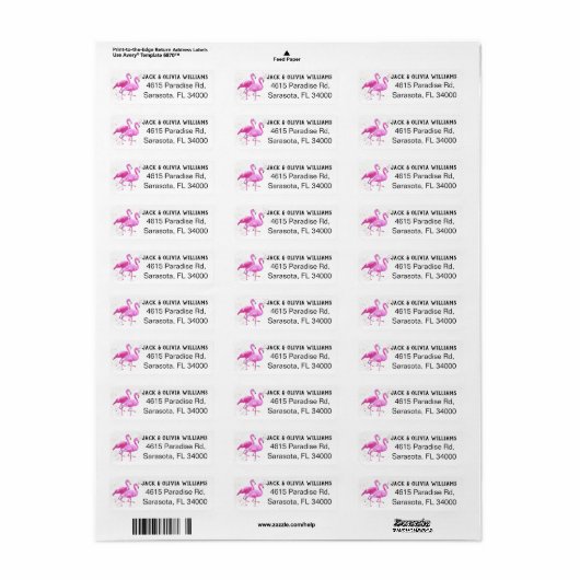 Tropisch, Roze Flamingo het Etiket van het Adres v (Full Sheet)