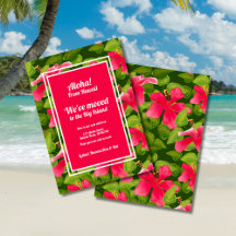 Tropisch Roze Hawaiaanse Hibiscus Aloha We Zijn Ve