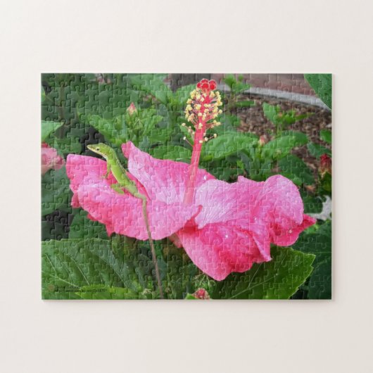 Tropisch roze hibiscus flower Anole Lizard Foto Legpuzzel (Horizontaal)