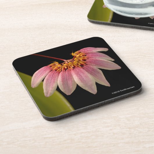 Tropisch roze orchidee bier onderzetter (Linkerzijde)