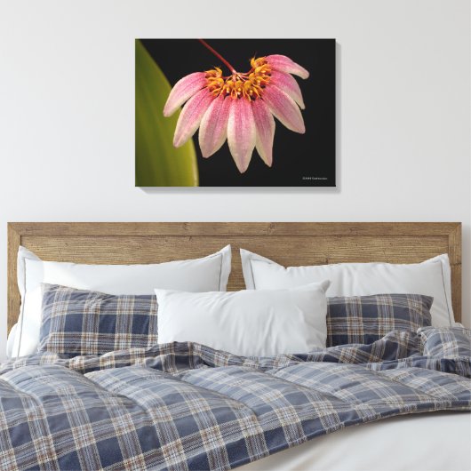 Tropisch roze orchidee canvas afdruk (Insitu (Slaapkamer))