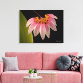 Tropisch roze orchidee canvas afdruk (Insitu (Woonkamer))