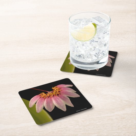 Tropisch roze orchidee kartonnen onderzetters (Insitu)