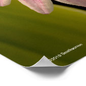 Tropisch roze orchidee poster (Hoek)