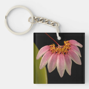 Tropisch roze orchidee sleutelhanger