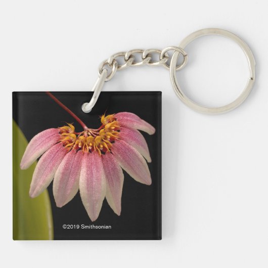 Tropisch roze orchidee sleutelhanger (Achterkant)