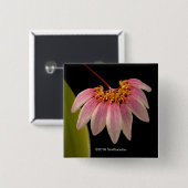 Tropisch roze orchidee vierkante button 5,1 cm (Voorkant /achterkant)