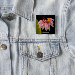 Tropisch roze orchidee vierkante button 5,1 cm