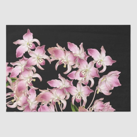 Tropisch roze witte orchidee Flowers-weefselpapier Tissuepapier (Voorkant)