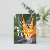 Tropisch sparen de Briefkaarten van de Datum (Staand voorkant)