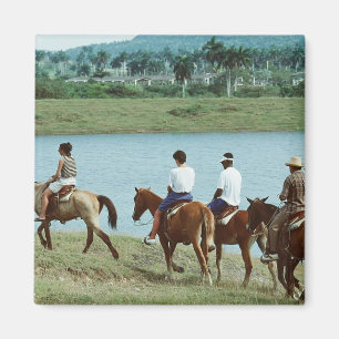 Tropisch spoor magneet