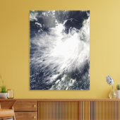 Tropisch Storm Conson Canvas Afdruk (Insitu (Woonkamer))
