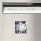 Tropisch Storm Conson Magneet (Insitu (Vaatwasser))