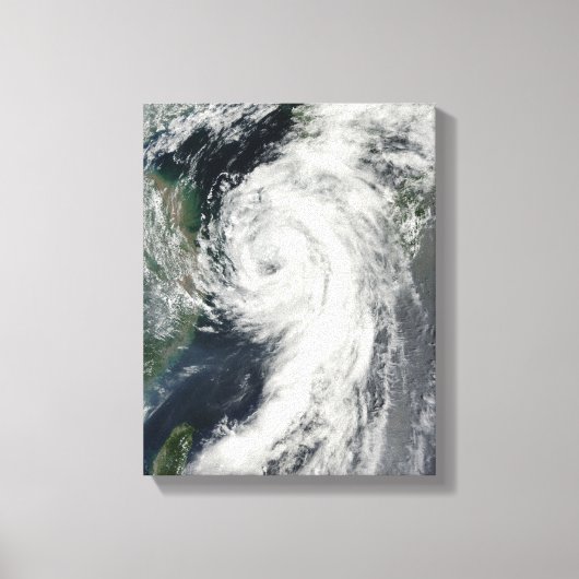 Tropisch Storm Dianmu Canvas Afdruk (Voorkant)