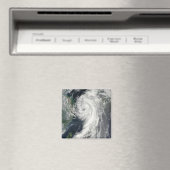 Tropisch Storm Dianmu Magneet (Insitu (Vaatwasser))