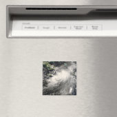 Tropisch Storm Gustav in het Caribische Zee Magneet (Insitu (Vaatwasser))