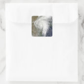 Tropisch Storm Hermine boven Texas Vierkante Sticker (Tas)